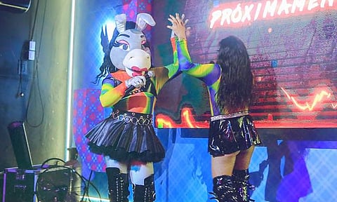 Vienen Burrita Burrona y Turbulence a Morelia