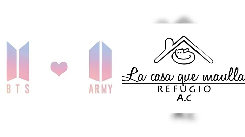 ARMY Morelia festejará 10° aniversario de BTS ayudando a refugio animal