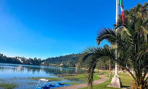 Conacyt impulsa proyectos ambientales emergentes en Michoacán: Secma