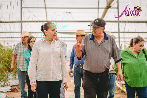 Insostenible inseguridad en Michoacán, autoridades rebasadas: Julieta Gallardo