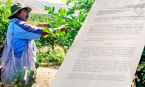 Presenta Gobierno de Michoacán denuncia por extorsión a limoneros de Apatzingán