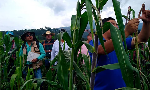 Sader y Conafe se alían para llevar el programa AgroSano a las zonas más marginadas