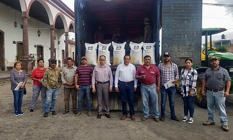 Apoyan con fertilizante a productores afectados por siniestros, en Vista Hermosa y Briseñas