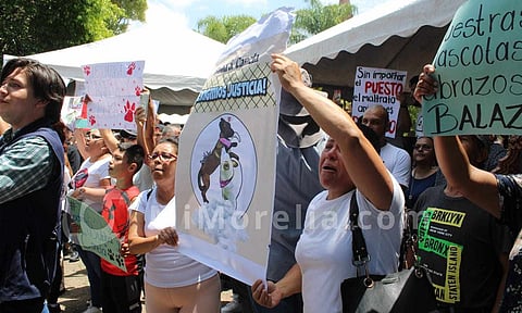 En una semana, audiencia por asesinato de “Buba” y “Canela”