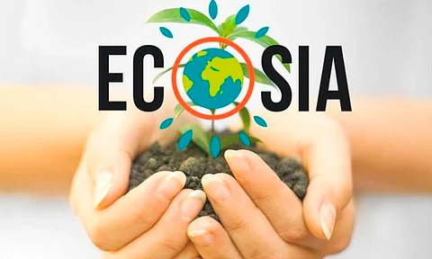 Así funciona Ecosia, el buscador que emplea sus ingresos para plantar árboles