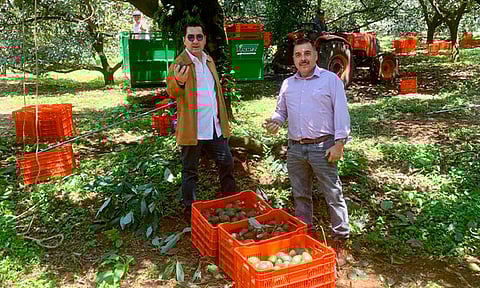 "Luna UCR" pretende sea la opción más atractiva para los productores agrícolas de la entidad