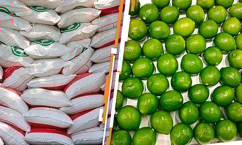 La entrega del insumo se hizo en coordinación con el gobierno municipal que encabeza Huriel Bautista Cabrera