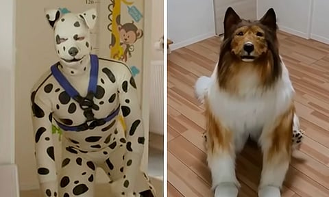 Se reúnen en Berlín personas que se identifican como perros