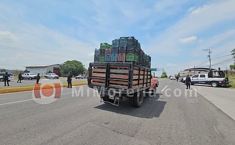 Reactivado el sector limonero en Apatzingán