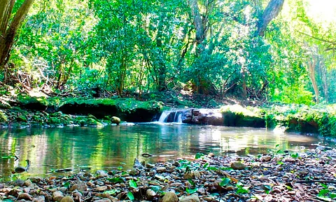 Michoacán, noveno lugar en competitividad ambiental: Secma