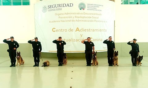 Adiestran a binomios caninos para operativos en penales de Michoacán