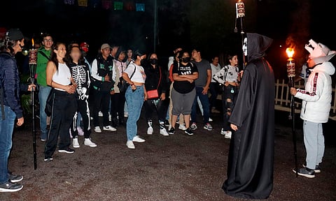 Regresarán recorridos nocturnos terroríficos al zoo de Morelia