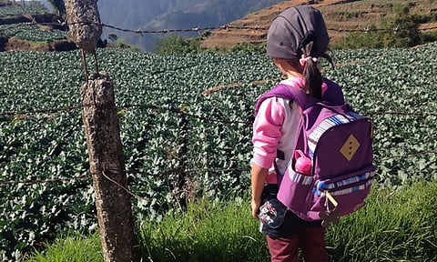 Trabajo infantil "captó" a 3.7 millones de niños y adolescentes en México: Inegi