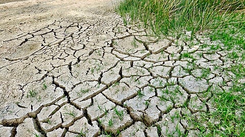 Advierte especialista que ya estamos en medio de una crisis ambiental