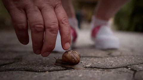 La vida de una mujer refugiada en Hungría desde la visión de Luis Sosa llega al FICM