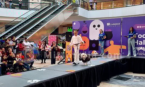 Visitantes de Paseo Altozano disfrutan de actividades terroríficas