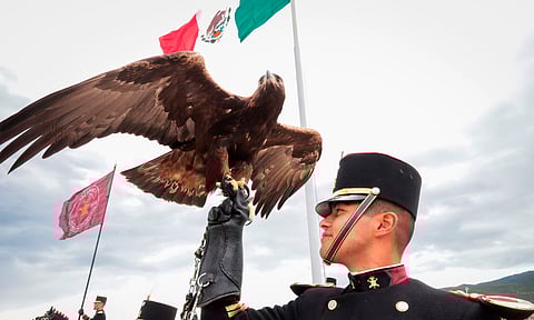 Así conmemoraron el Bicentenario del Heroico Colegio Militar en Veracruz