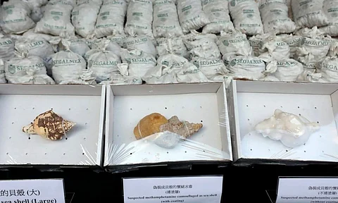 Segalmex se deslinda de cargamento de metanfetamina decomisado en Hong Kong