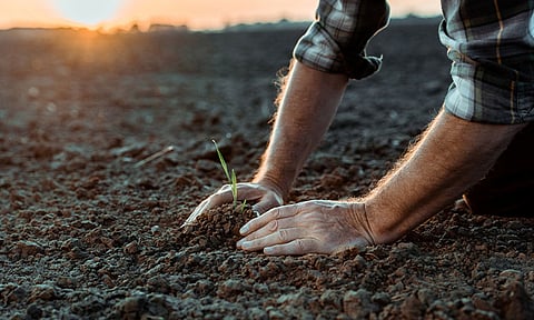 Evita intoxicaciones por uso de agroquímicos, sigue estas recomendaciones