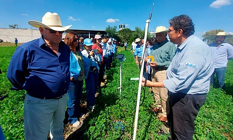 Sader y FAO revisan en Michoacán proyecto para uso eficiente del agua y fertilizante