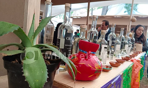 Inauguran Encuentro Nacional del Mezcal, en Morelia