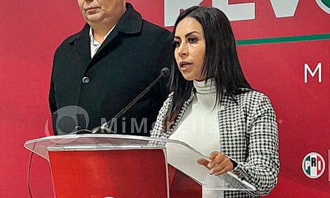 Terna para el auditor debía ser abierta en el momento procesal oportuno: Gloria Tapia