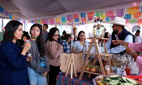 Este fin de semana, tercer Festival Destilados de Mi Pueblo en Indaparapeo