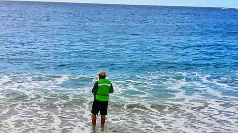 Playas michoacanas, aptas para vacacionar: SSM