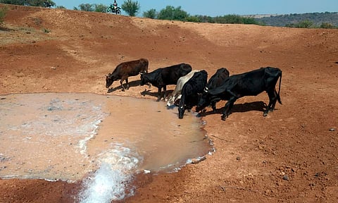 Repararán 100 pequeñas presas para incorporar al riego 3 mil hectáreas de cultivos