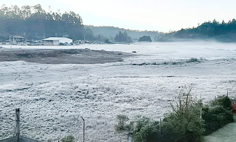 Frío deja blancos paisajes en Cherán y en Los Azufres este jueves