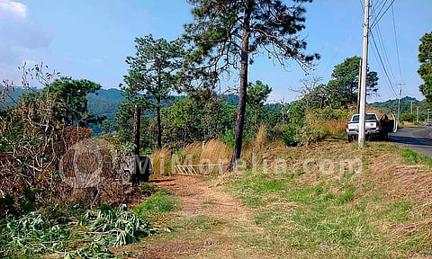 Localizan cuerpo calcinado en huerta de aguacates