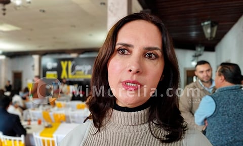 En carreteras mexicanas, se lucra con los accidentes: Diputada Macarena Chávez