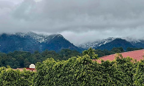 Pico de Tancítaro, Michoacán, se pinta de blanco con caída de nieve