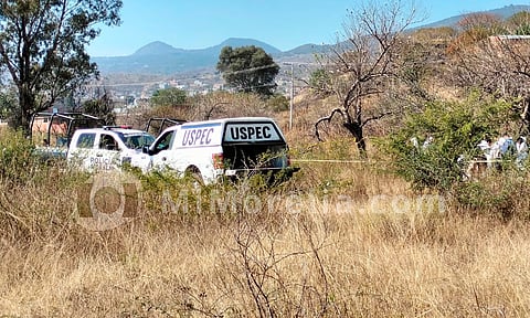 Hallan cadáver en lote baldío, en Morelia