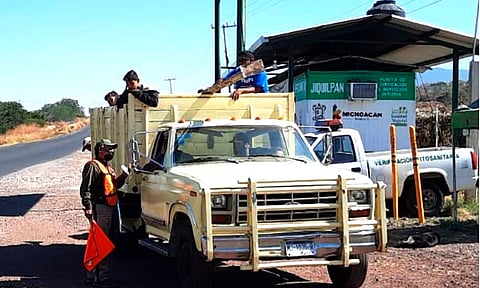 Michoacán suma 9 puntos de verificación sanitaria de cítricos