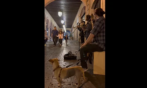 Maldita Vecindad reacciona a banda de Morelia que toca “Kumbala”