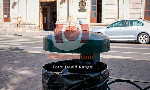 FGE en espera de resultados toxicológicos en caso de envenenamiento de gatos en Facultad de Derecho