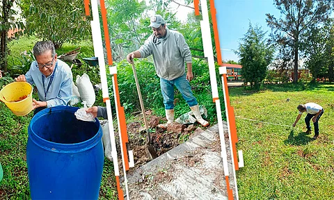 Huerto de Plantas Medicinales en Santa Rosalía, una realidad