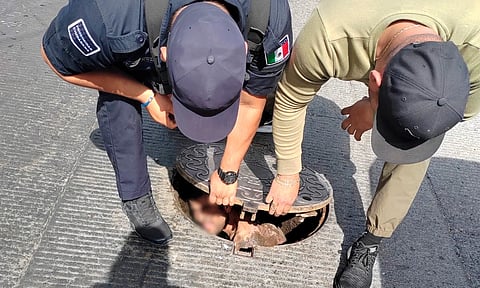 Lo rescatan luego de estar atrapado 4 días en alcantarilla de Guadalajara