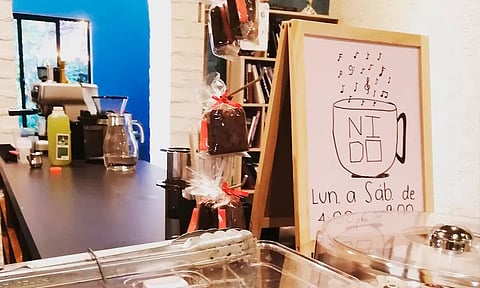 ¿Ya conoces este café cultural en Morelia? Tiene talleres y es pet-friendly