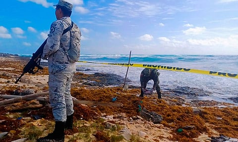 Entre sargazo encuentran 22 paquetes de droga en isla de Cozumel