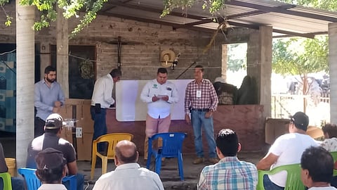 Continúa Sader con la capacitación a productores de cítricos de la Tierra Caliente