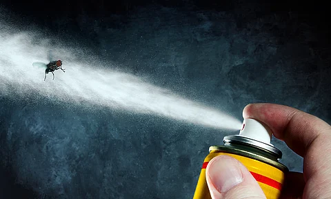 Alertan sobre insecticida ilegal; representa alto riesgo a la salud