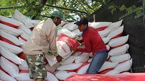 Estos son los requisitos para que pequeños productores reciban fertilizante gratuito