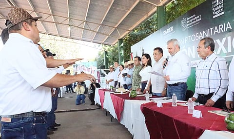 Rinden protesta integrantes de la Junta Local de Sanidad Vegetal de Apatzingán