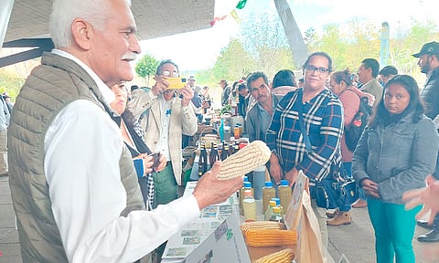 Consolidar soluciones a cultivos, meta 2024 de la Sader