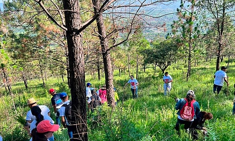 Secma presenta 300 denuncias por delitos ambientales en Michoacán