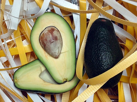 Michoacán enviaría 130 mil toneladas de aguacate para Super Bowl 2024: Sader