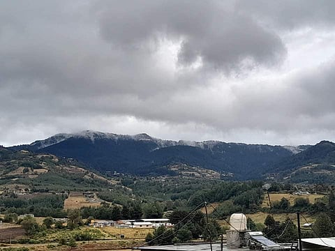 Cae nieve en Michoacán; las montañas de estos dos municipios se pintaron de blanco