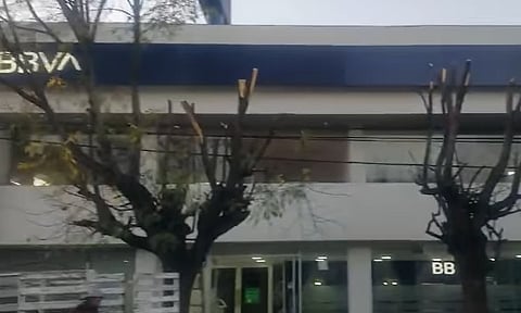 Cortan follaje a árboles en Morelia para que no tapen vista de banco, acusan